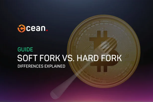 Soft Fork vs. Hard Fork