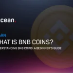 what is bnb