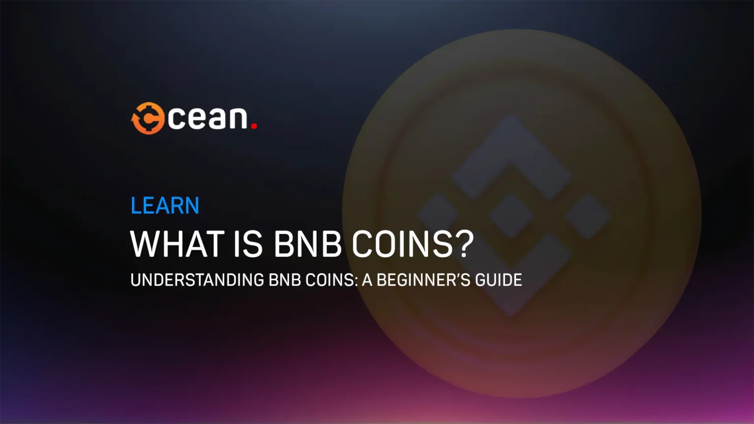 what is bnb